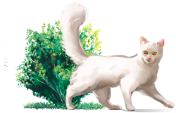 Brooksfield photo center